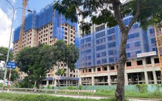 Điểm Danh Động Lực Tăng Trưởng Cho Thị Trường BĐS Việt Nam 2023