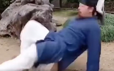 VIDEO: Chưởng môn Võ Đang làm khùng làm điên, khiến kungfu Trung Quốc bẽ mặt
