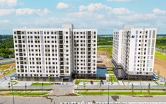 Căn Hộ Bình Dân Trở Lại Đường Đua