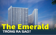 Dự án The Emerald tại Hà Nội trông ra sao?