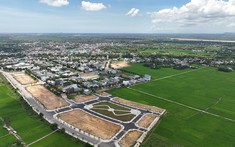 Vụ ‘ Do đau ốm nên chậm nộp tiền trúng đấu giá tại Quảng Nam’: Hủy kết quả 71 lô đất trúng đấu giá