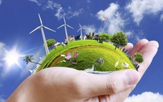 Hợp Đồng Thuê Đất Cá Nhân Và Tổ Chức Năm 2023