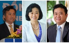Tân Tạo lỗ trăm tỷ sau kiểm toán, em trai bà Đặng Thị Hoàng Yến từ chức