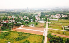 Nhà Đầu Tư Vào Cuộc Mua Gom Đất Nền Ven Đô
