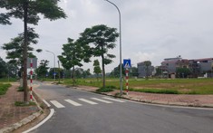 Hà Nội: Chuẩn bị đấu giá 19 thửa đất tại huyện Mê Linh