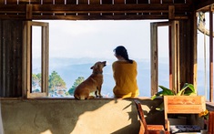 Chán phố thị, 9X bỏ Sài Gòn lên Đà Lạt làm homestay