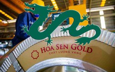 Dragon Capital chi hàng chục tỷ, chính thức trở thành cổ đông lớn của Hoa Sen