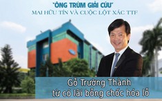 Công ty kiểm toán vào cuộc, Gỗ Trường Thành từ có lãi bỗng chốc hóa lỗ hàng tỷ đồng