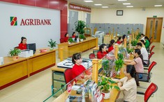 Agribank đang nắm giữ 2,3 triệu tỷ đồng bất động sản thế chấp, cao gấp 1,6 lần dư nợ cho vay khách hàng