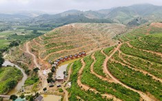 Tân Lâm Nguyên: Dự án trang trại sinh thái tại Lâm Đồng