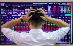 Một công ty thép mất sạch thành quả kinh doanh vì “đánh chứng”, “ngậm ngùi ôm lỗ” hàng chục tỉ đồng