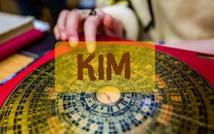 Mệnh Kim Hợp Hướng Nào Khi Làm Nhà - 4 Hướng Đẹp Nên Chọn Ngay!