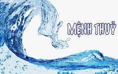 Mệnh Thủy Hợp Hướng Nào? 5 Hướng Làm Việc Tốt Cho Người Mệnh Thủy