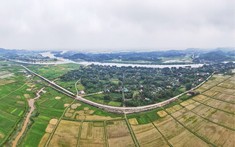 Quy Định Về Quản Lý Đất Đai Tại Việt Nam Năm 2023
