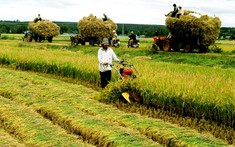 Quy định về hỗ trợ khi thu hồi đất nông nghiệp