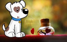 Tuổi Tuất Hợp Hướng Nào? Cách Hóa Giải Hướng Nhà Không Hợp Tuổi Tuất 2023