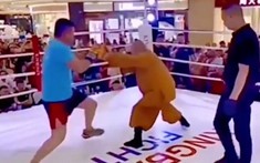 VIDEO: Cao thủ thiếu lâm dùng tuyệt kỹ 'mèo méo meo mèo meo', vẫn bị đấm bất tỉnh nhân sự