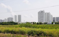 Nghịch lý doanh nghiệp được vay lại không dám vay, ngân hàng mỏi mắt tìm khách