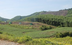 Sơn La rà soát đất nông, lâm trường, xử lý dứt điểm đất lấn chiếm, xây sai phép