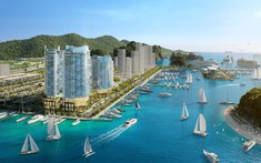 Dư Địa Bất Động Sản Nghỉ Dưỡng Vân Đồn: Cửa Ngõ “Tỷ Đô” Bên Vịnh Di Sản