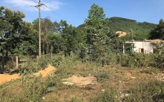 Đất LNK Là Gì? Quy Định Chuyển Đổi Đất LNK Sang Đất Ở Mới Nhất