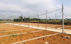 Thị Trường Đất Nền Hà Nội Có Sôi Động Trở Lại Khi Được Phép Tách Thửa?