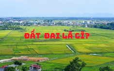 Đất đai là gì? Phân loại và đặc điểm