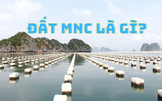 MNC là đất gì? Phân loại và quy định sử dụng đất MNC như thế nào?