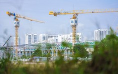 “Đại gia” ngành xây dựng báo lỗ quý thứ 2 liên tiếp, tiền mặt chỉ còn hơn 200 tỷ đồng