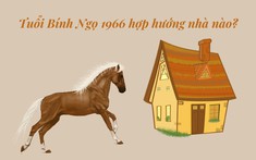 Tuổi Bính Ngọ 1966 (Nam - Nữ) hợp hướng nào?