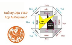 Tuổi Kỷ Dậu 1969 (Nam - Nữ) hợp hướng nào?