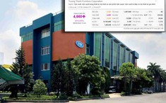 Cổ phiếu “vua gỗ” Trường Thành bất ngờ tăng kịch trần sau công bố có lãi mỏng 1,8 tỉ đồng quý đầu năm