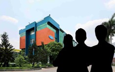Lộ diện tổ chức nước ngoài vừa chi hàng tỉ đồng để trở thành cổ đông lớn của Gỗ Trường Thành