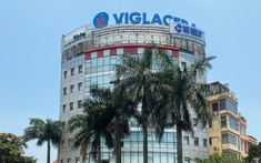Viglacera sẽ chốt quyền nhận cổ tức 10% bằng tiền vào ngày 1/6