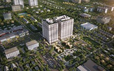Sức hút của căn hộ Tumys Phú Mỹ