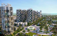 Mer Vista Casilla: Phân khu căn hộ tại Thanh Long Bay