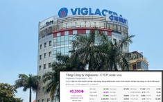 Bộ Xây dựng chuẩn bị thoái vốn tại Viglacera, cổ phiếu VGC “nổi sóng”