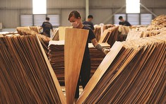 Một mặt hàng của Việt Nam khiến Mỹ mạnh tay chi 2 tỷ USD để gom phục vụ nhu cầu trong nước