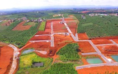 Lâm Đồng sẽ giải quyết dứt điểm của người dân về tách thửa đất?
