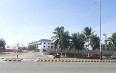 Đà Nẵng hủy bỏ việc tạm dừng giao dịch tài sản của các công ty liên quan đến Phan Văn Anh Vũ