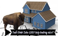Sinh năm 1997 tuổi Đinh Sửu hợp hướng nào, kỵ hướng nào khi mua, xây nhà?