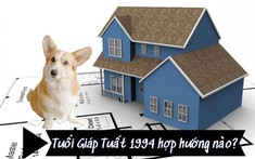 Sinh năm 1994 tuổi Giáp Tuất hợp hướng nào?