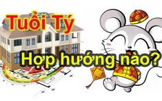 Tuổi Tý Hợp Hướng Nào? Hướng Nhà Đẹp Cho Các Tuổi: 1960, 1972, 1984, 1996