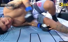 Võ sĩ đen đủi nhất thế giới vừa bước lên sàn đấu, đã tự knock-out chính mình