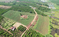 LakeView Phúc Thọ: Dự án đất nền tại Lâm Đồng