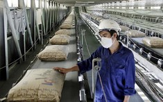 Thay tướng giữa dòng, doanh nghiệp này vẫn có quý thứ 4 liên tiếp… thua lỗ