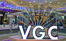 Viglacera nợ hơn 13.000 tỷ, tài sản chạm ngưỡng 1 tỷ USD trước thềm thoái vốn