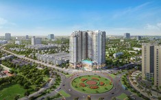 Căn Hộ 2S Plus “Nối Sóng” Thị Trường Căn Hộ Dịch Vụ