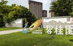 Country Garden lao dốc: Cuộc khủng hoảng bất động sản của Trung Quốc đến mức nào?