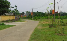 Trường hợp nào chuyển mục đích sử dụng đất không phải xin phép, thủ tục thực hiện thế nào?